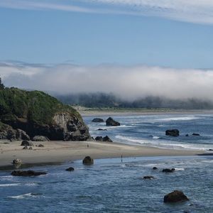 Meet your Posher, Jessie